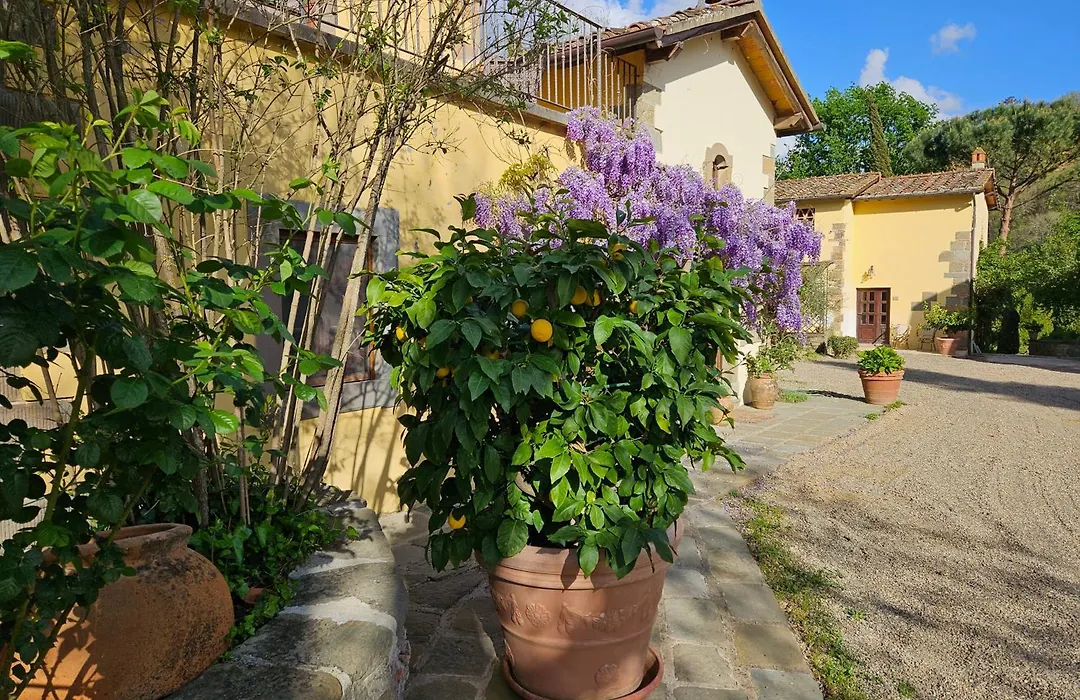 Villa Rigacci Hotel-1